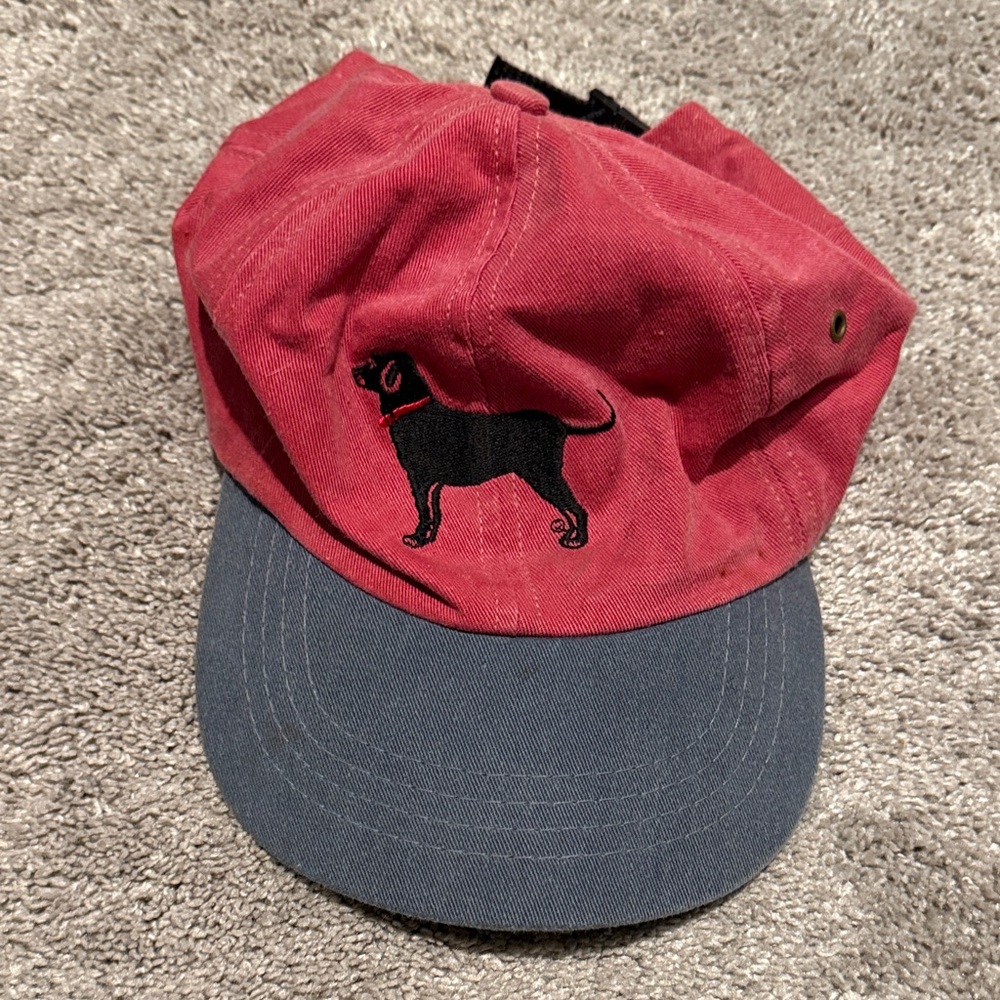 Embroidered Dog Design Red and Gray Cap
